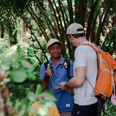 Ambow Homestay Jungle Trekking & Village Tour Bukit Lawang Dış mekan fotoğraf