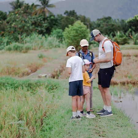 Ambow Homestay Jungle Trekking & Village Tour Bukit Lawang Dış mekan fotoğraf