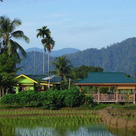 Ambow Homestay Jungle Trekking & Village Tour Bukit Lawang Dış mekan fotoğraf