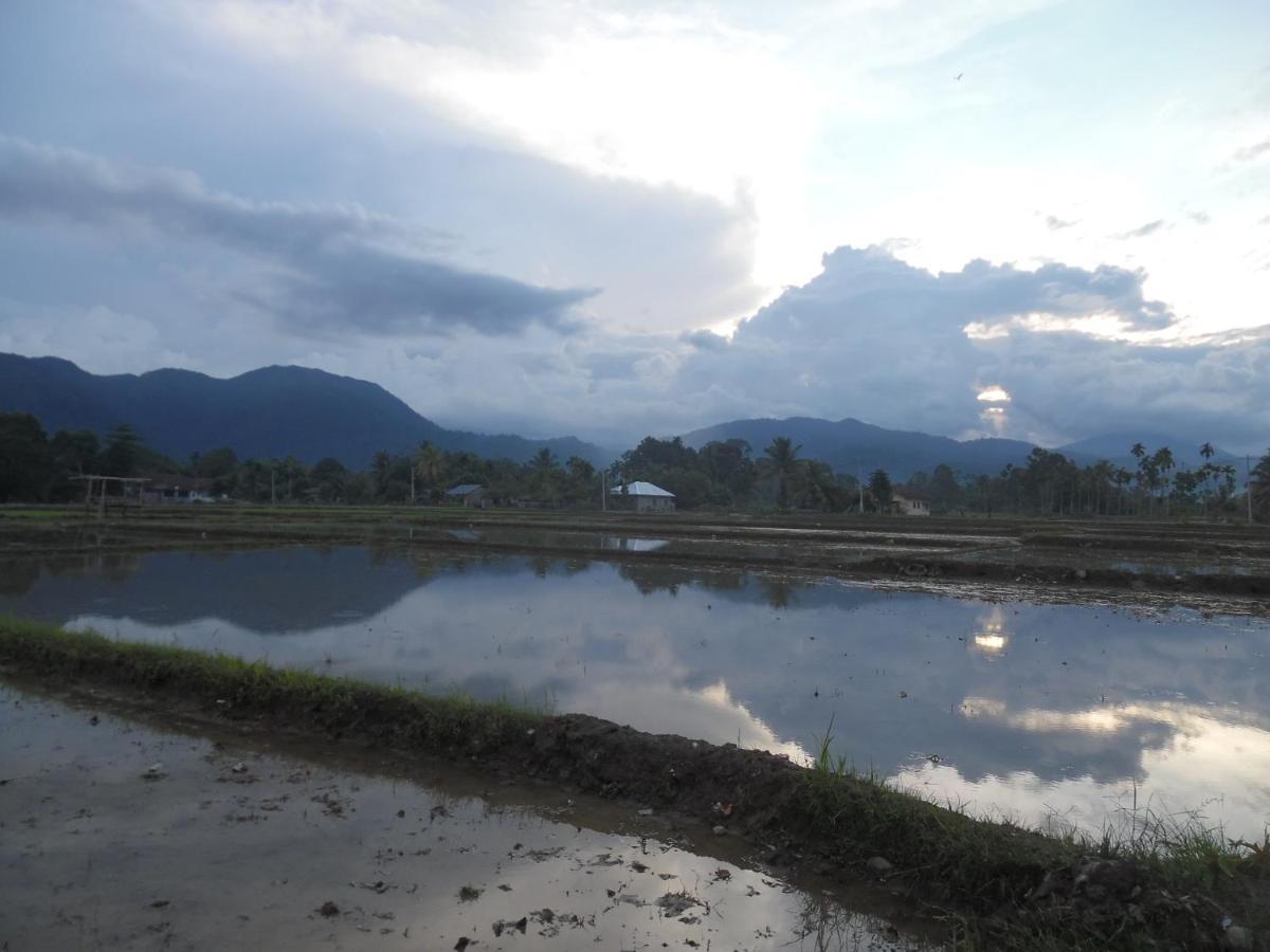 Ambow Homestay Jungle Trekking & Village Tour Bukit Lawang Dış mekan fotoğraf