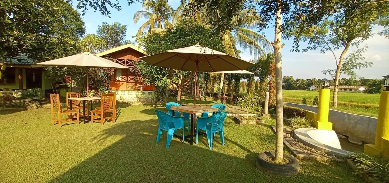 Ambow Homestay Jungle Trekking & Village Tour Bukit Lawang Dış mekan fotoğraf