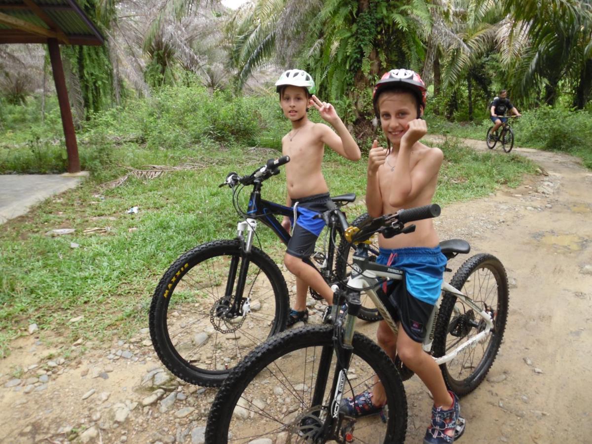 Ambow Homestay Jungle Trekking & Village Tour Bukit Lawang Dış mekan fotoğraf