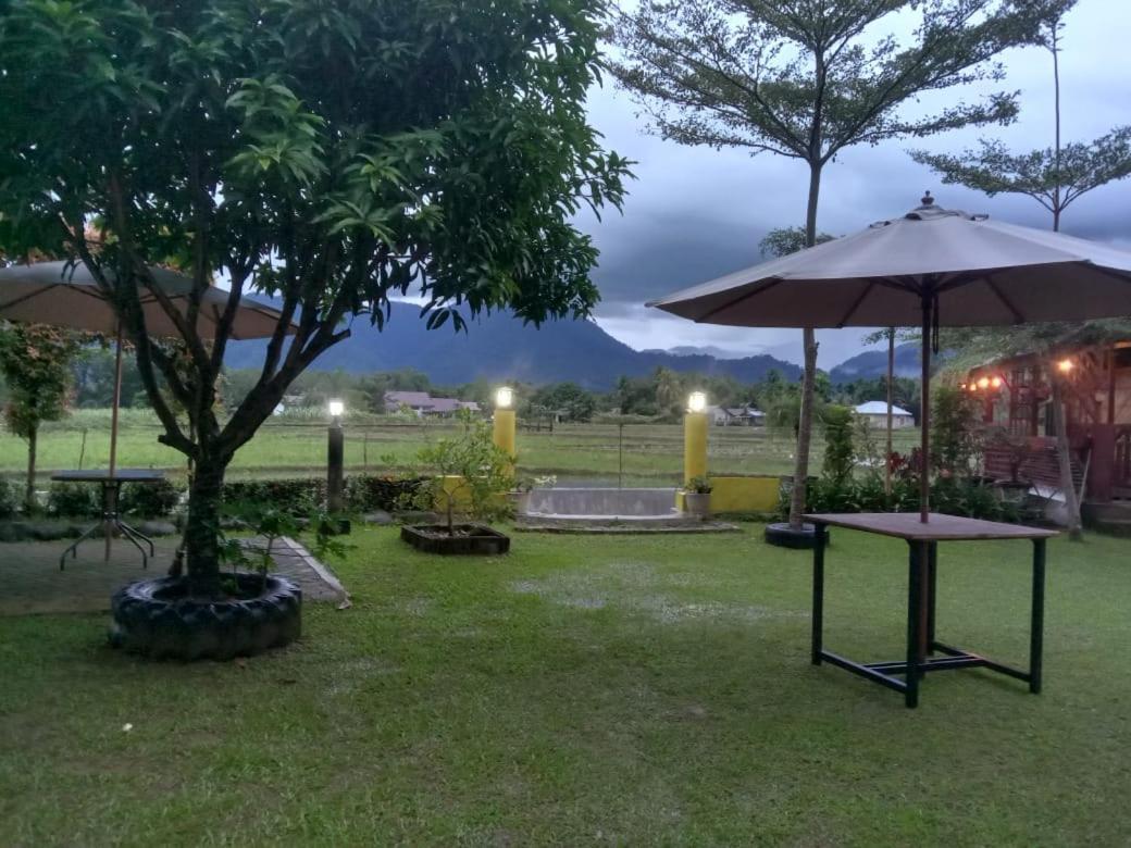 Ambow Homestay Jungle Trekking & Village Tour Bukit Lawang Dış mekan fotoğraf