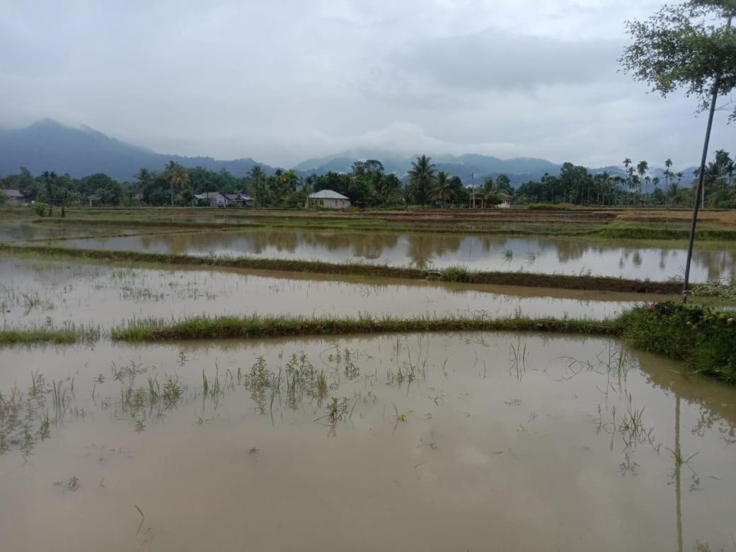 Ambow Homestay Jungle Trekking & Village Tour Bukit Lawang Dış mekan fotoğraf