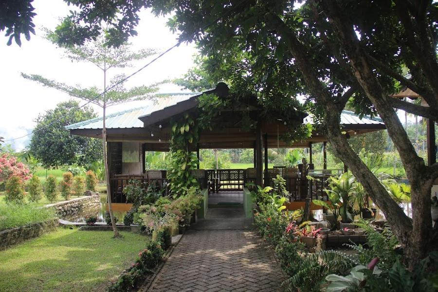 Ambow Homestay Jungle Trekking & Village Tour Bukit Lawang Dış mekan fotoğraf