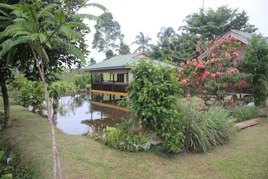 Ambow Homestay Jungle Trekking & Village Tour Bukit Lawang Dış mekan fotoğraf