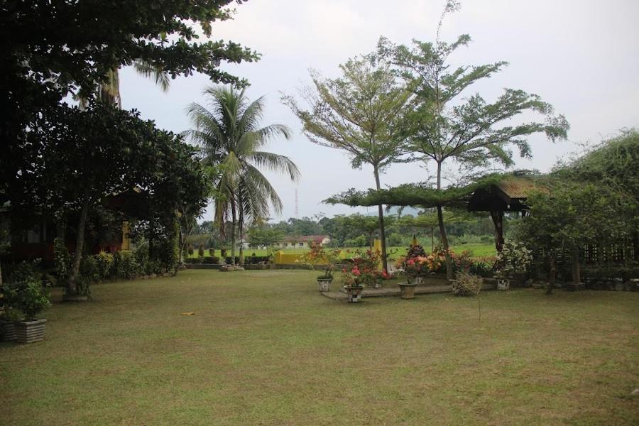 Ambow Homestay Jungle Trekking & Village Tour Bukit Lawang Dış mekan fotoğraf