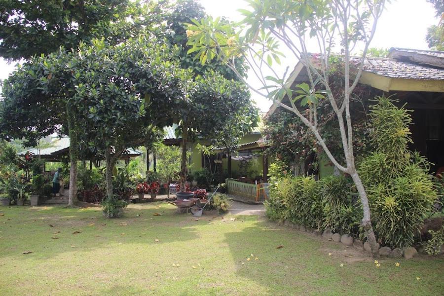 Ambow Homestay Jungle Trekking & Village Tour Bukit Lawang Dış mekan fotoğraf