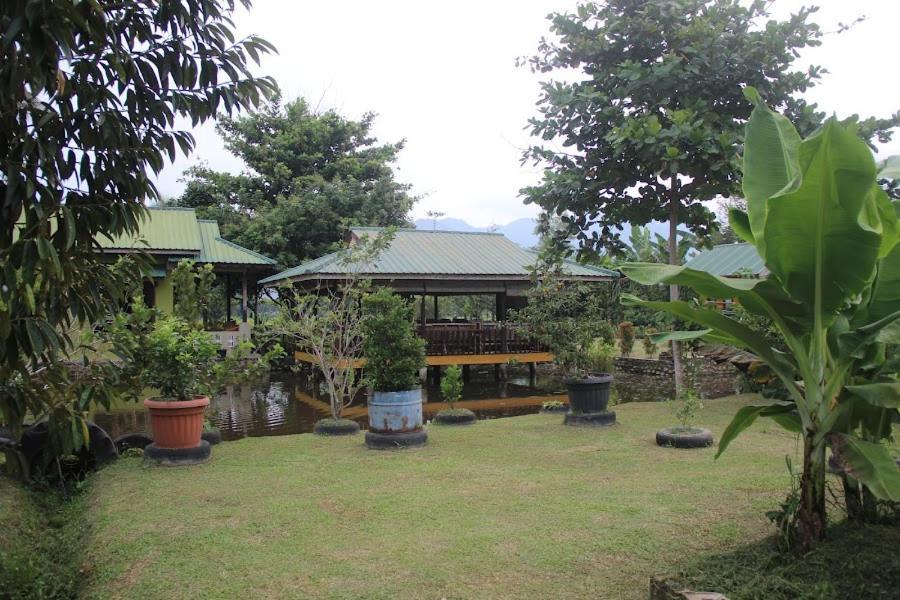 Ambow Homestay Jungle Trekking & Village Tour Bukit Lawang Dış mekan fotoğraf