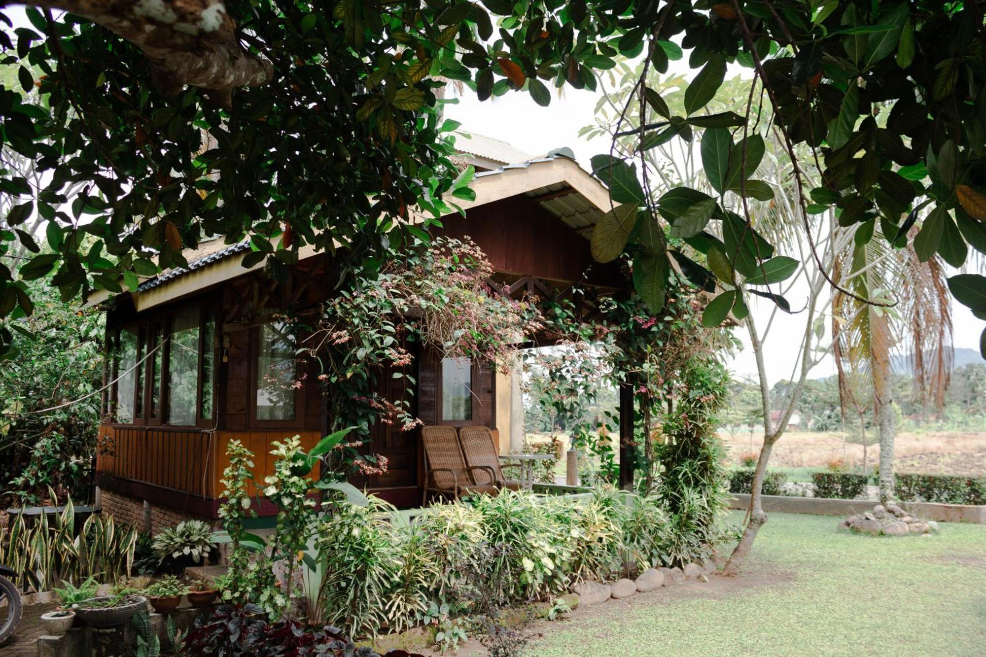 Ambow Homestay Jungle Trekking & Village Tour Bukit Lawang Dış mekan fotoğraf