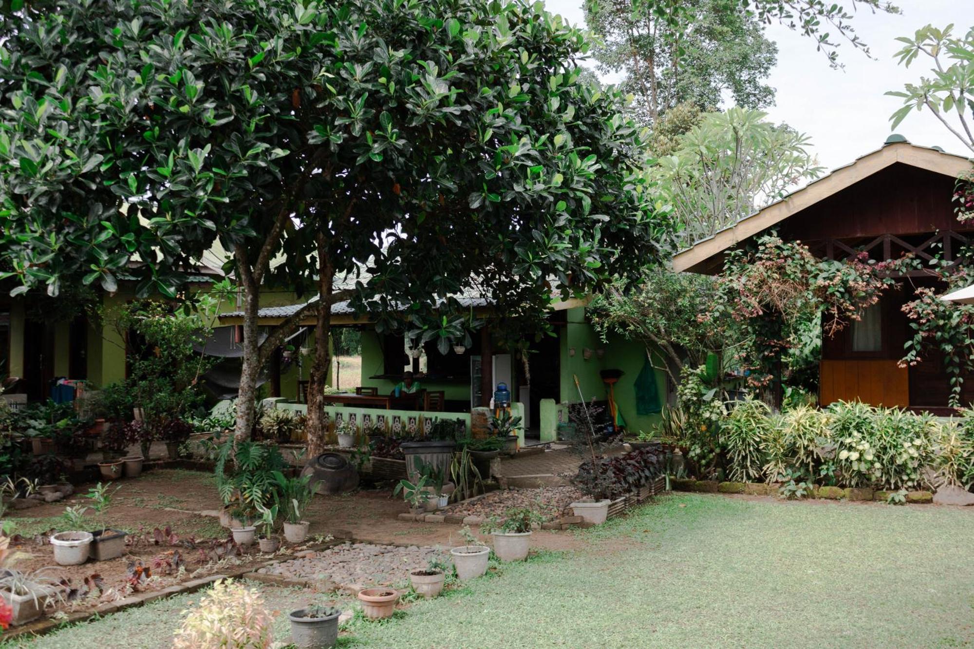 Ambow Homestay Jungle Trekking & Village Tour Bukit Lawang Dış mekan fotoğraf