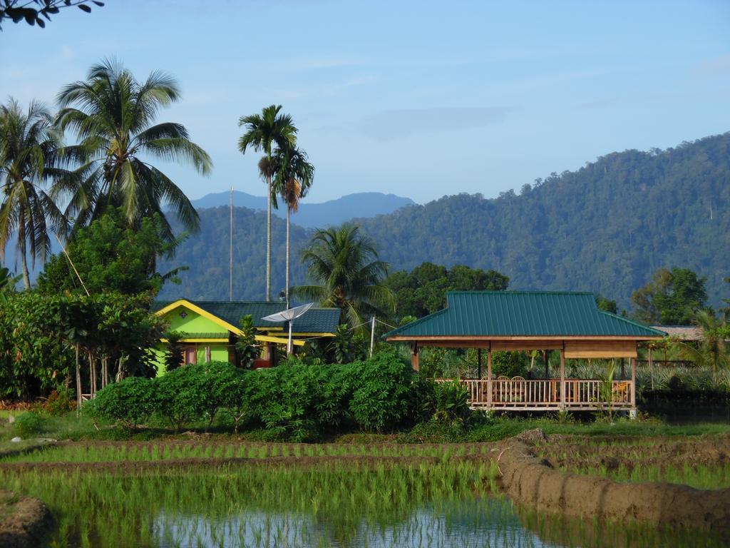 Ambow Homestay Jungle Trekking & Village Tour Bukit Lawang Dış mekan fotoğraf