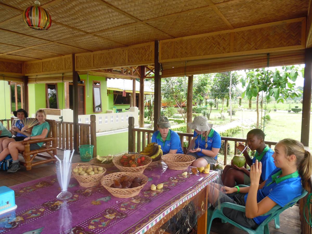 Ambow Homestay Jungle Trekking & Village Tour Bukit Lawang Dış mekan fotoğraf