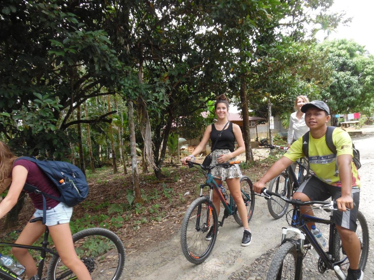 Ambow Homestay Jungle Trekking & Village Tour Bukit Lawang Dış mekan fotoğraf