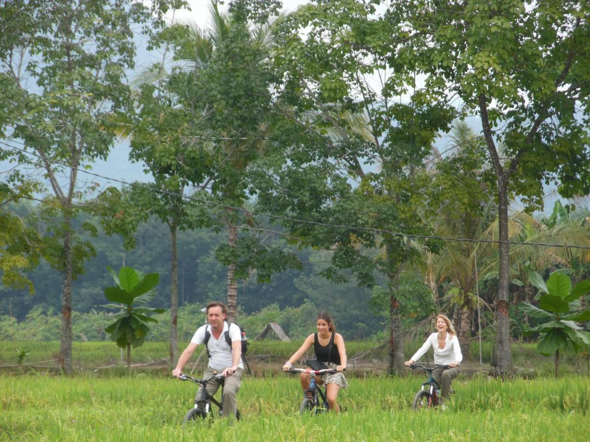 Ambow Homestay Jungle Trekking & Village Tour Bukit Lawang Dış mekan fotoğraf