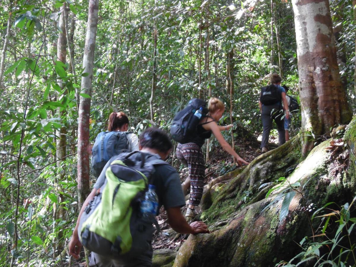 Ambow Homestay Jungle Trekking & Village Tour Bukit Lawang Dış mekan fotoğraf