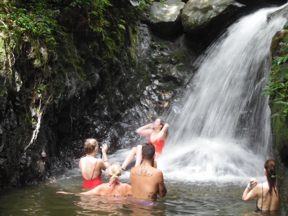 Ambow Homestay Jungle Trekking & Village Tour Bukit Lawang Dış mekan fotoğraf