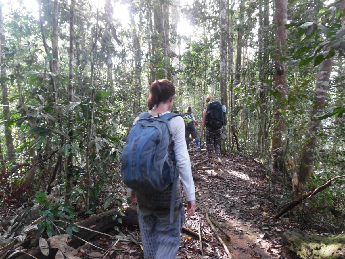 Ambow Homestay Jungle Trekking & Village Tour Bukit Lawang Dış mekan fotoğraf