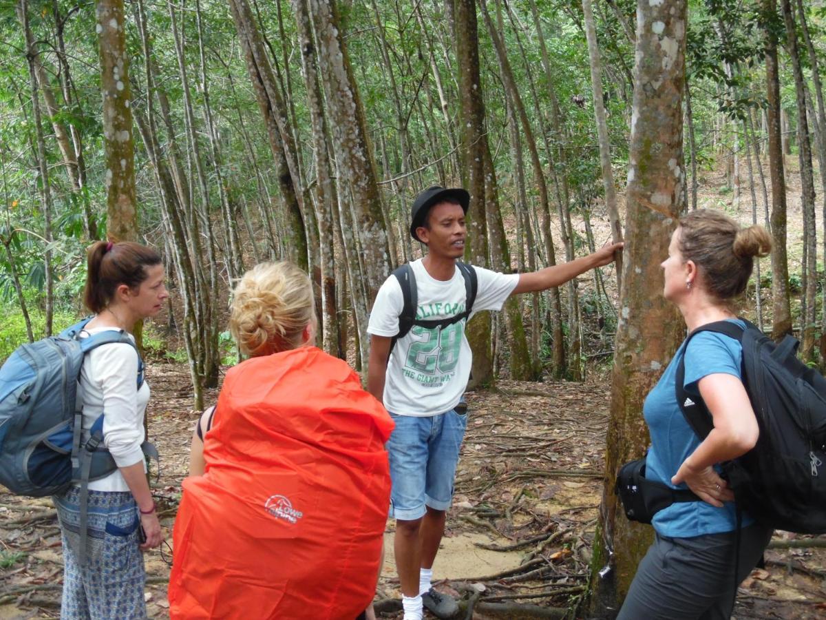 Ambow Homestay Jungle Trekking & Village Tour Bukit Lawang Dış mekan fotoğraf