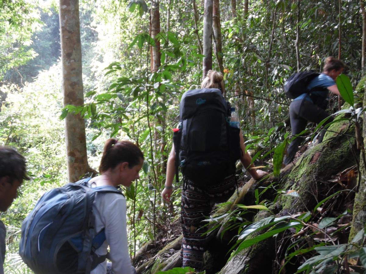 Ambow Homestay Jungle Trekking & Village Tour Bukit Lawang Dış mekan fotoğraf