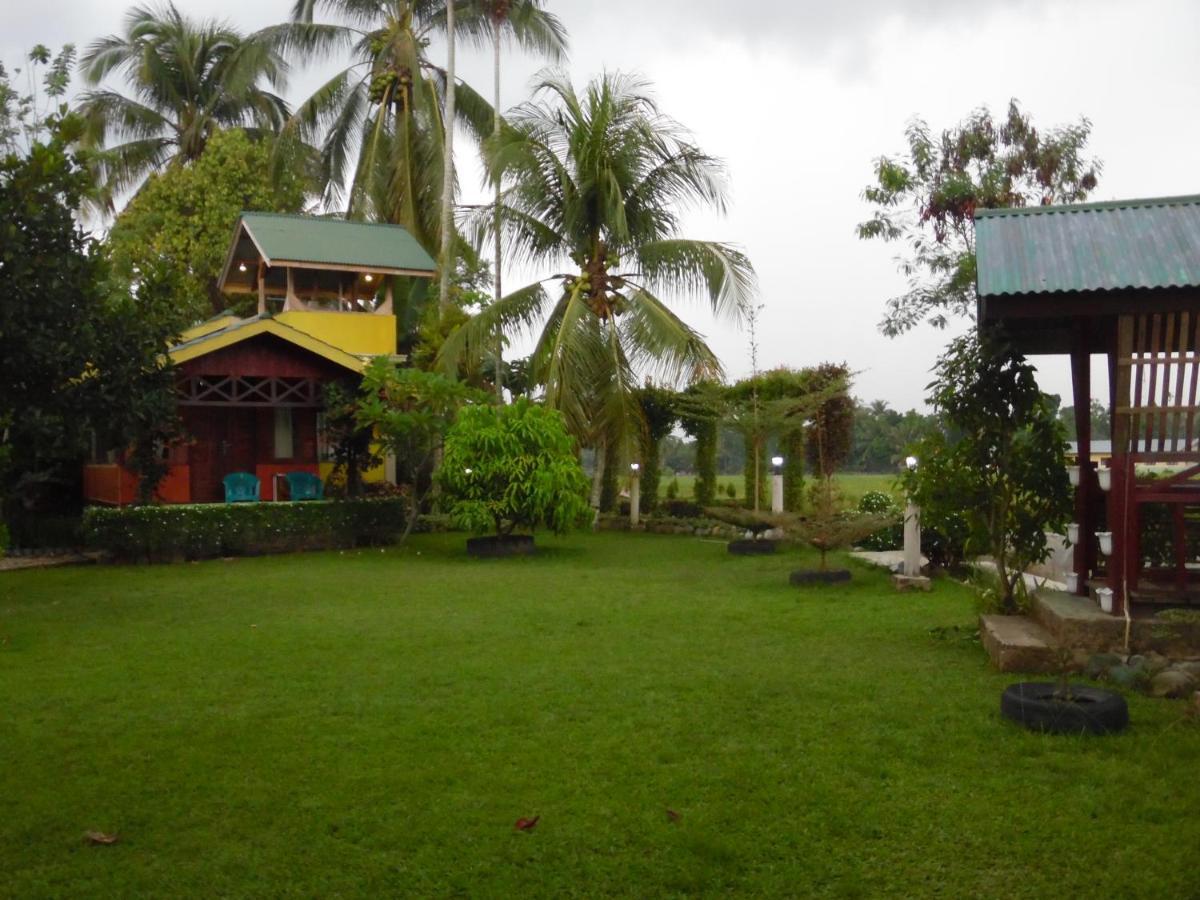 Ambow Homestay Jungle Trekking & Village Tour Bukit Lawang Dış mekan fotoğraf