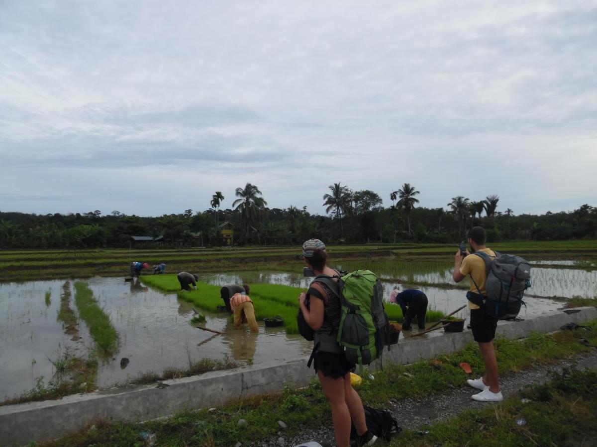Ambow Homestay Jungle Trekking & Village Tour Bukit Lawang Dış mekan fotoğraf